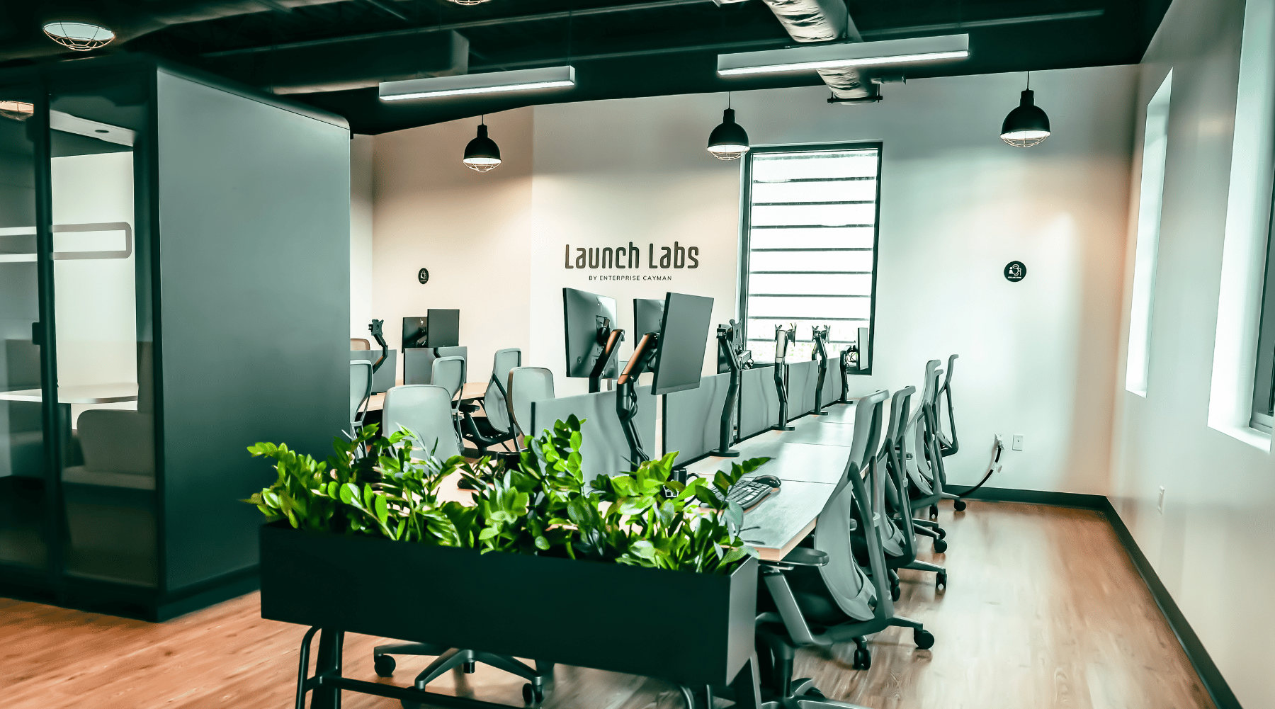 Launch Labs Studios - Introduction to Market Research