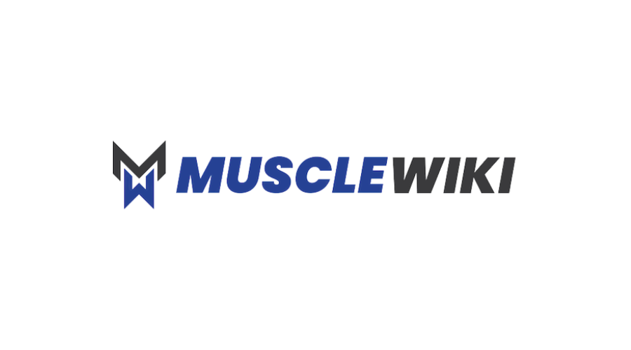 Musclewiki Intern