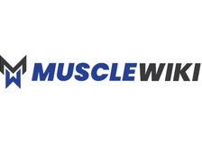 Muscle Wiki